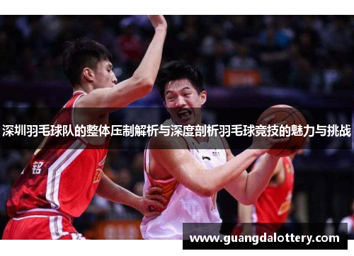 深圳羽毛球队的整体压制解析与深度剖析羽毛球竞技的魅力与挑战
